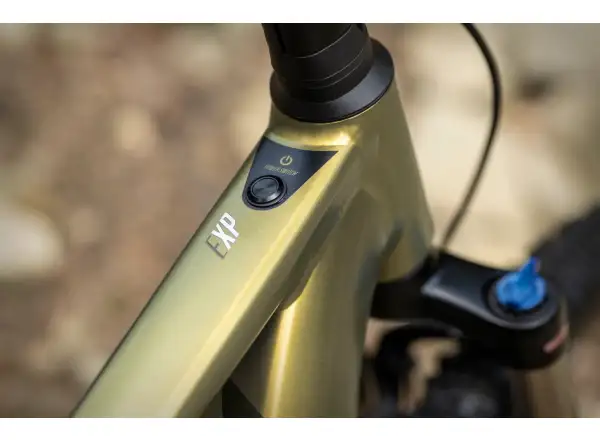 Superior eXP 8089 elektrisches Mountainbike Matte Olive Metallic/Chrome Silver