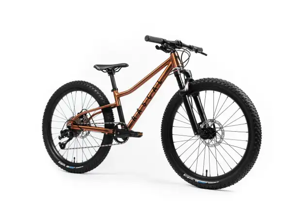 Rascal Wild 24 Kinderfahrrad Bronze