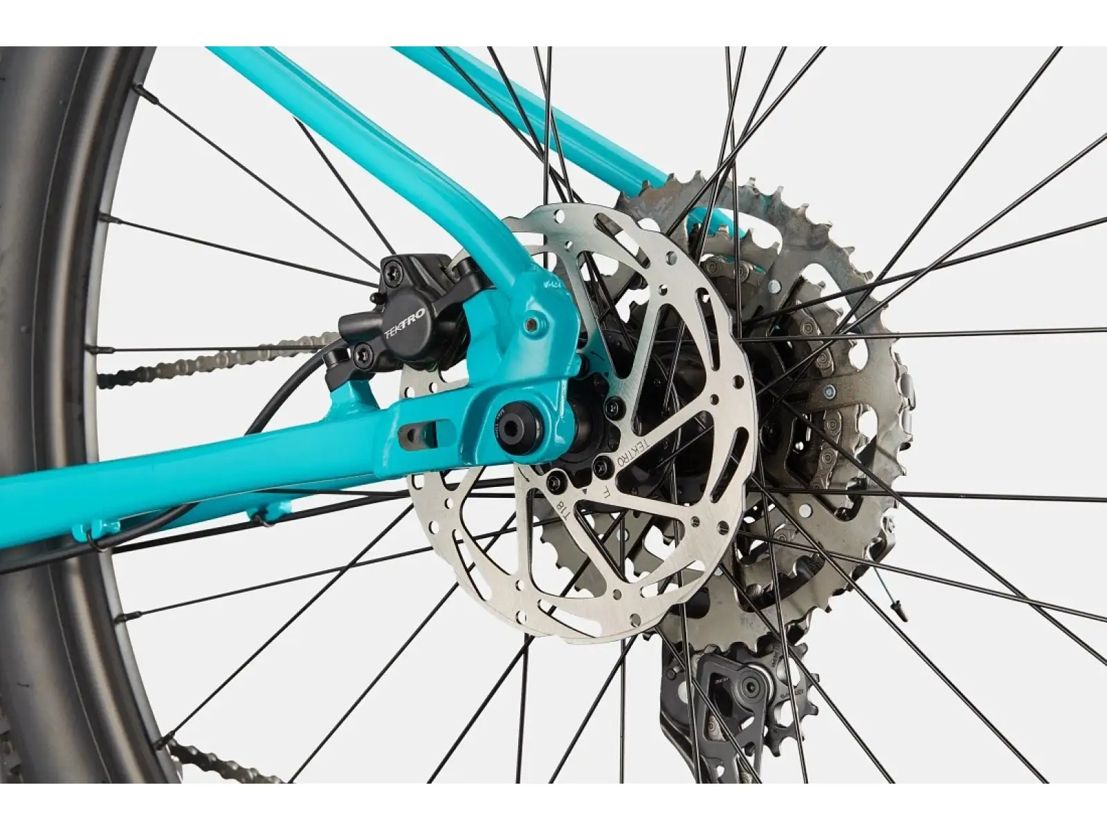 Cannondale Trail 2 29" Mountainbike Ion Blue
