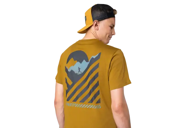 Dynafit 24/7 Graphic Herren T-Shirt Kurzarm Relic/Striped Elevation