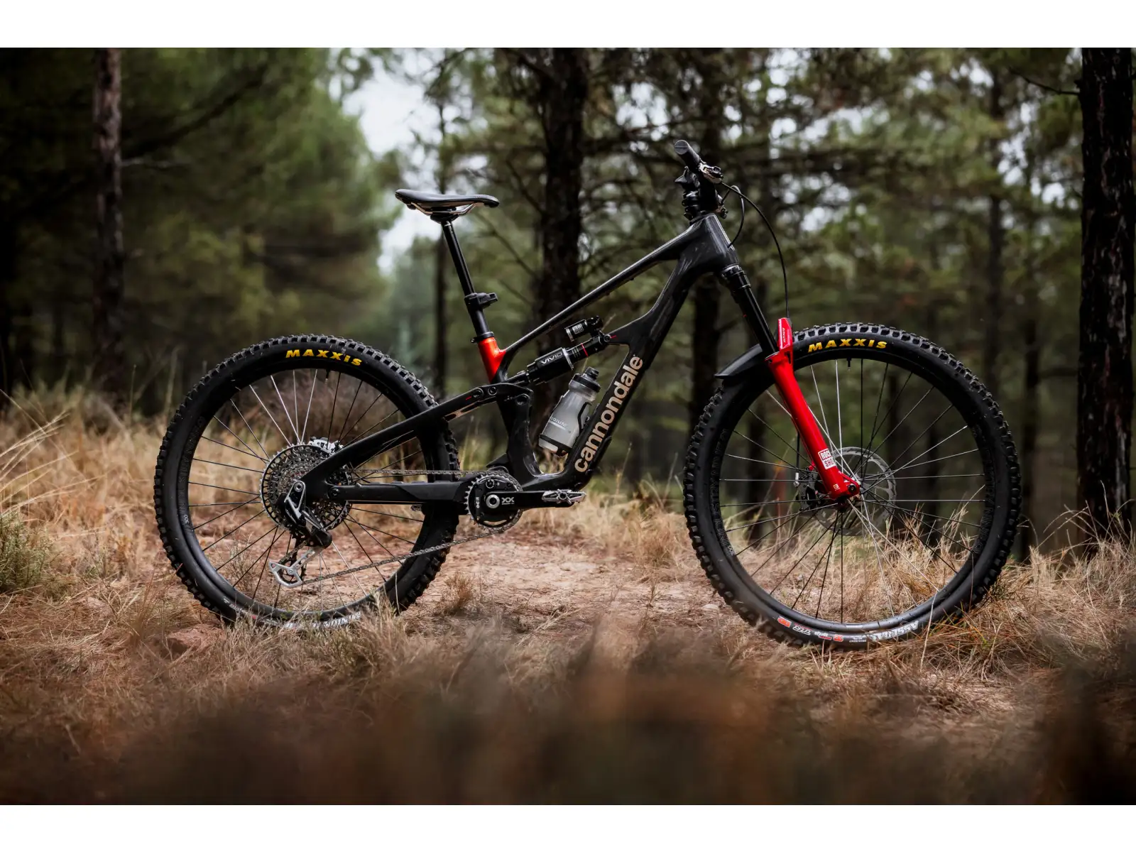 Cannondale Bad Habit 1 Mountainbike RAW Carbon