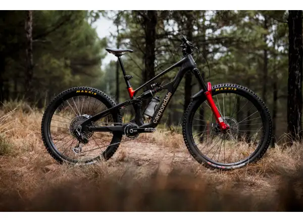 Cannondale Bad Habit 1 Mountainbike RAW Carbon