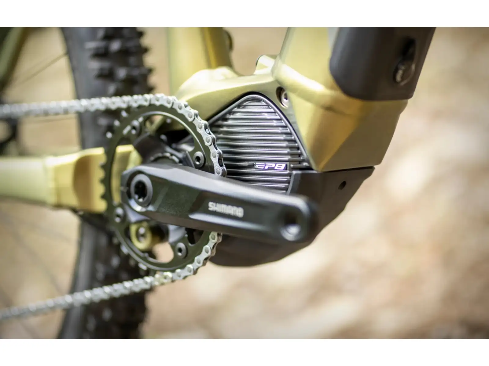 Superior eXP 8089 elektrisches Mountainbike Matte Olive Metallic/Chrome Silver