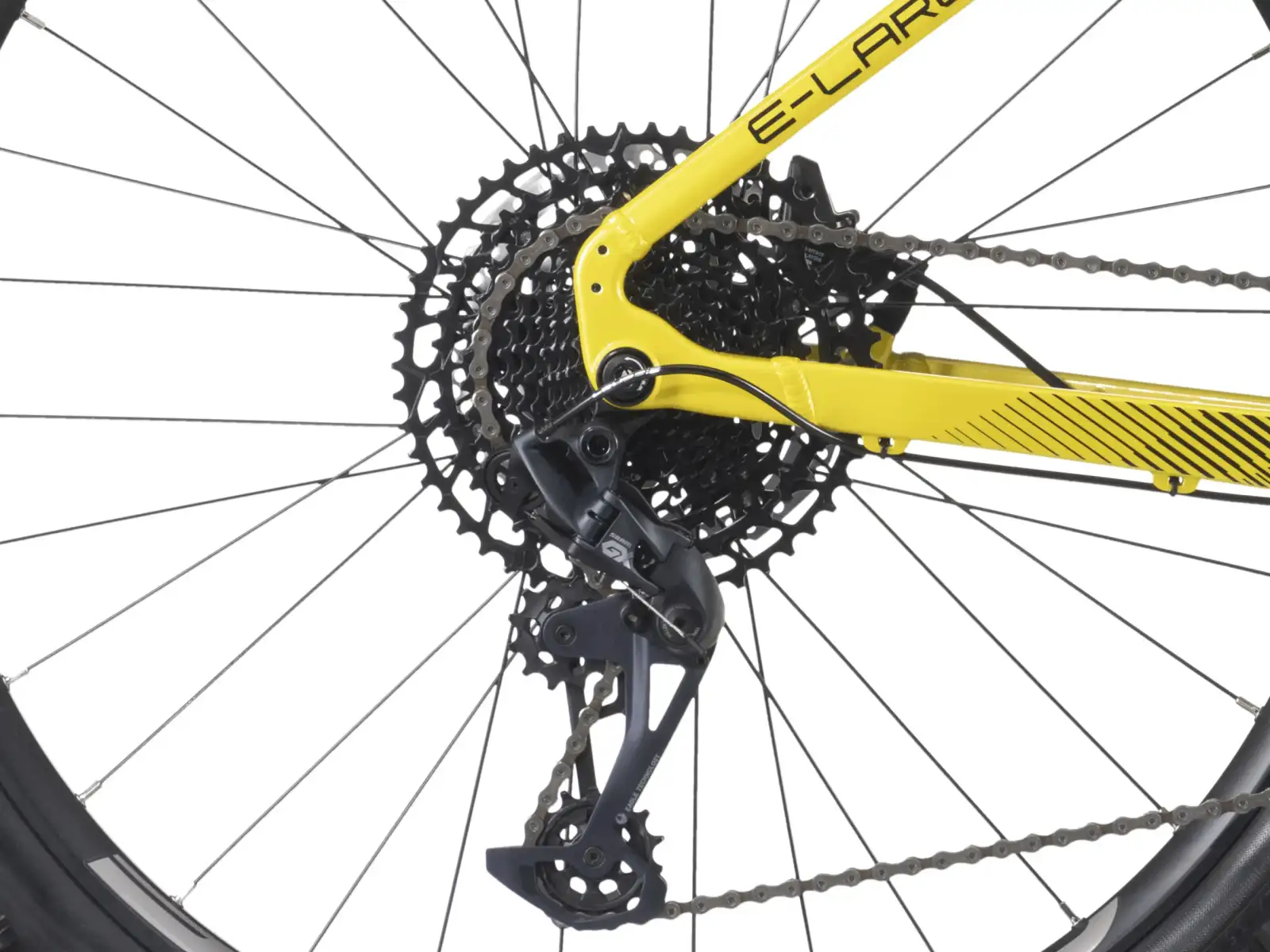 Crussis e-Largo 10.10-L (900 Wh) Mountain E-Bike