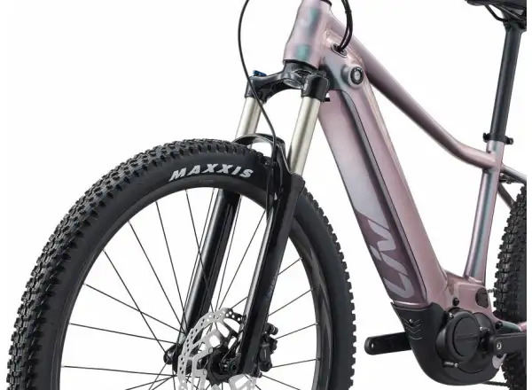 Liv Vall-E+ 2 29 Echeveria 2022 Damen E-Mountainbike
