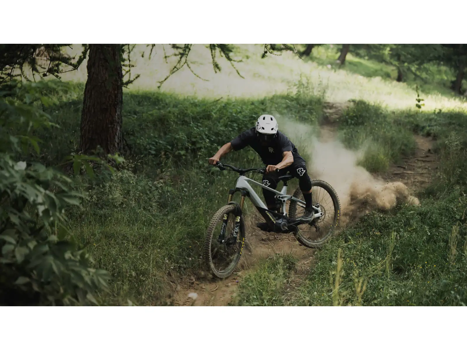 Orbea Wild M20 E-Mountainbike Halo Silver/Tanzanite Carbon.