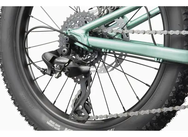 Cannondale Kids Trail Plus 20 Kinderfahrrad Cactus Green