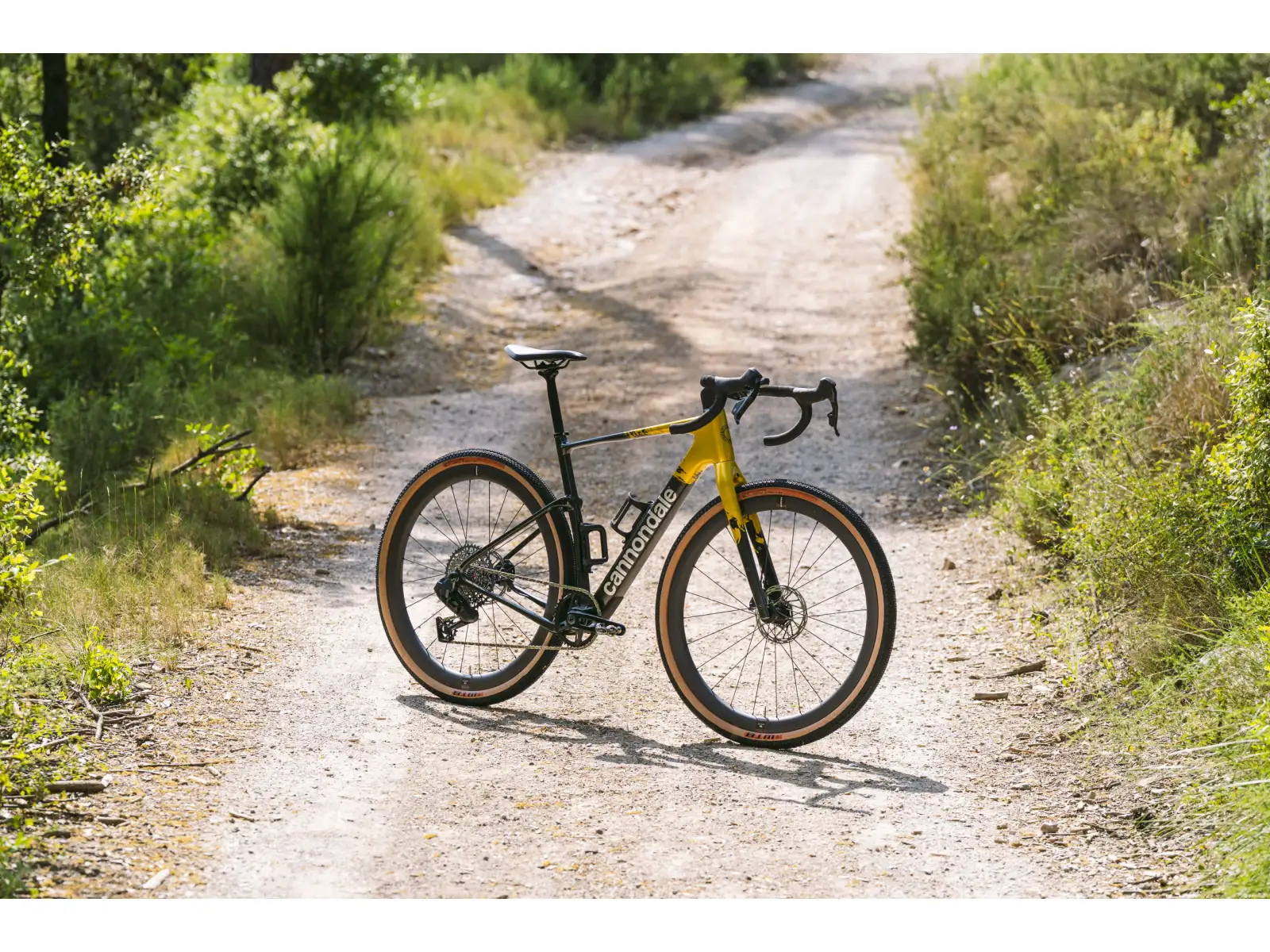 Cannondale Topstone – Gravelbike Carbon 1 AXS