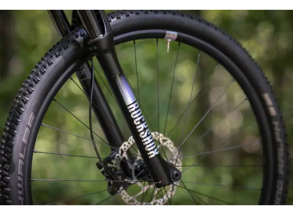 Superior XP 939 Mountainbike Gebürstetes Alu/Hologramm Chrom