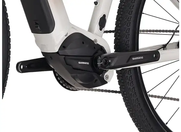 Superior eXC 6.2 elektrisches Mountainbike Gloss Dust