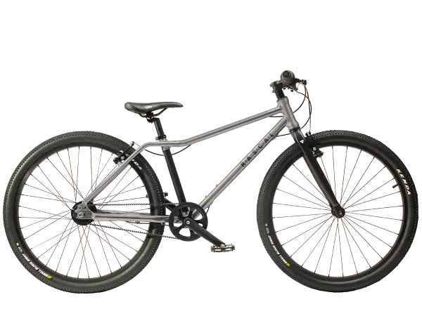 Rascal 26 7-Gang Shimano Nexus Kinderfahrrad in Titanium