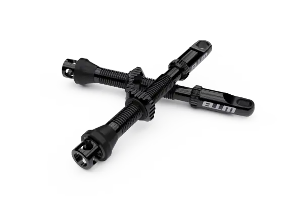 WTB TCS AL Max-Flow Presta Ventile für schlauchlos 55 mm schwarz 2 Stk.