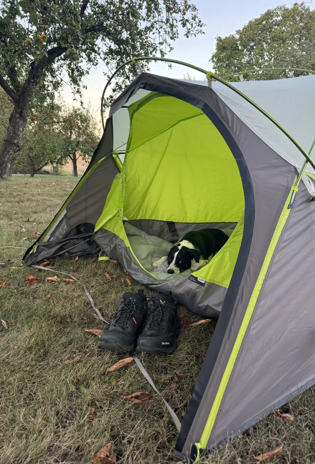 Das Tourismuszelt Salewa Lite Trek für 2 Personen... oder für eine Person und einen Hund.