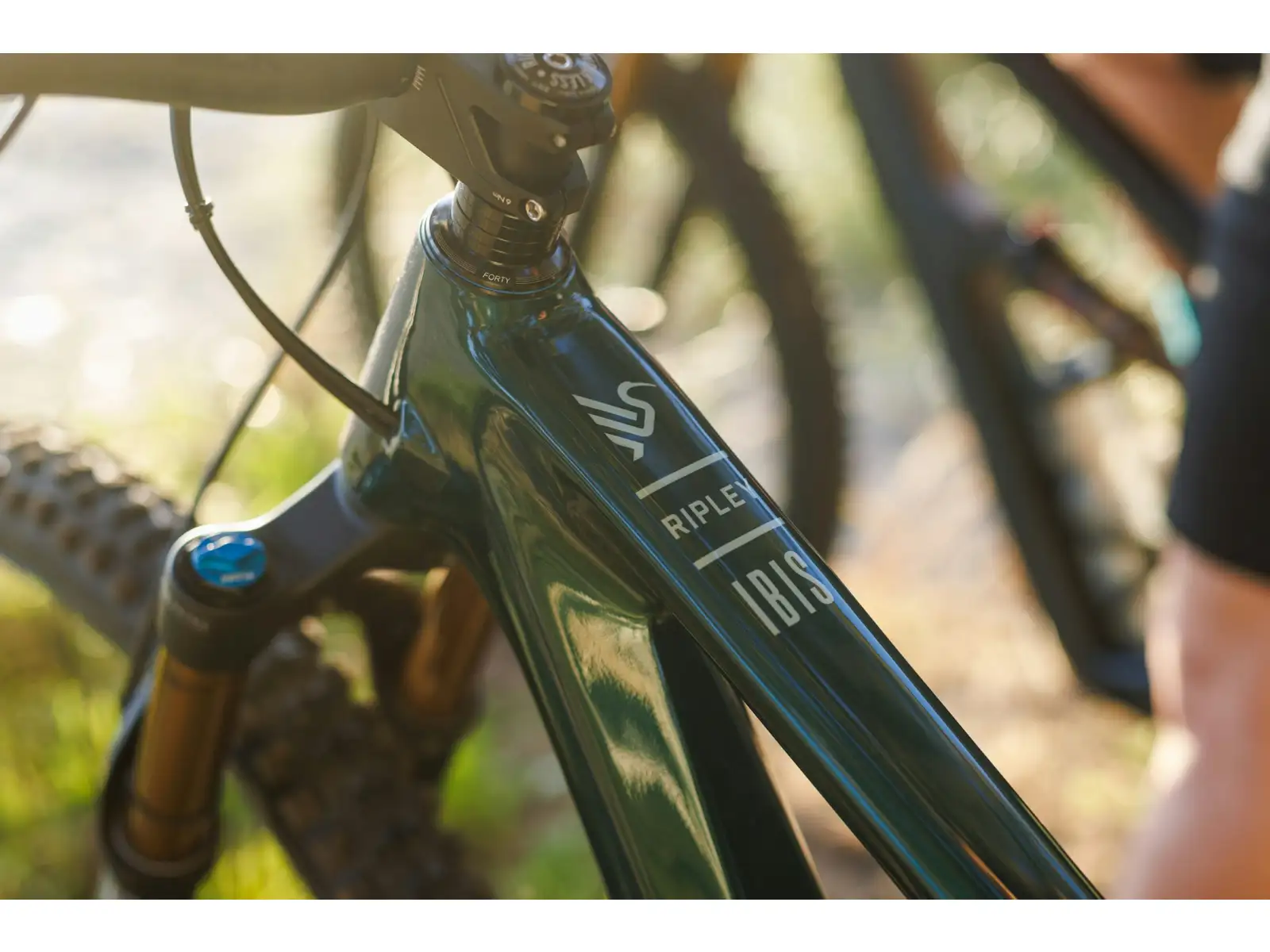 Ibis Ripley V5 XT Di2 Mountainbike Green Flash