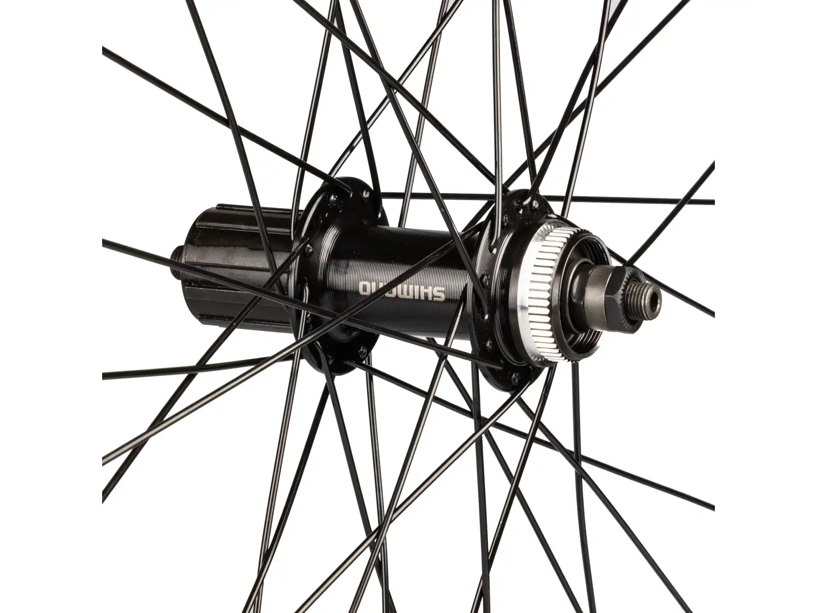 Force XC Disc Hinterrad 584x23 TX505-CL 32 Löcher