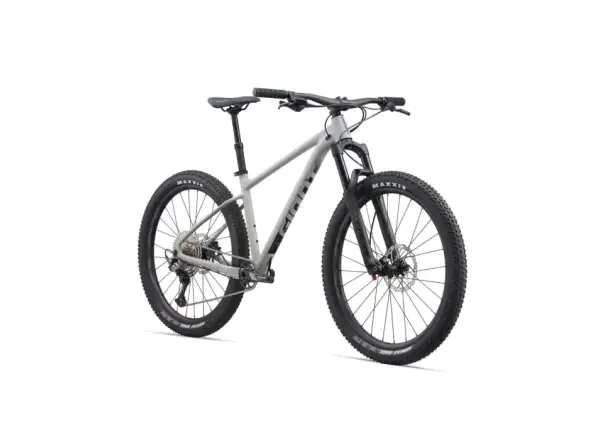 Giant Fathom 2 Mountainbike Beton