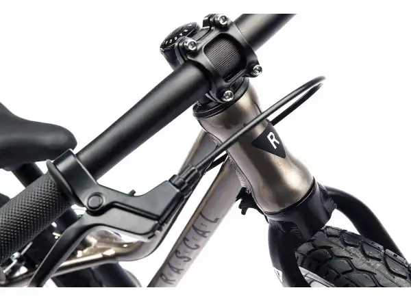 Rascal Punk Kinder Laufrad Titanium