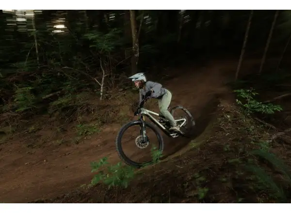 Ibis Ripmo V3 GX Eagle AXS Mountainbike Olive Swamp Monster