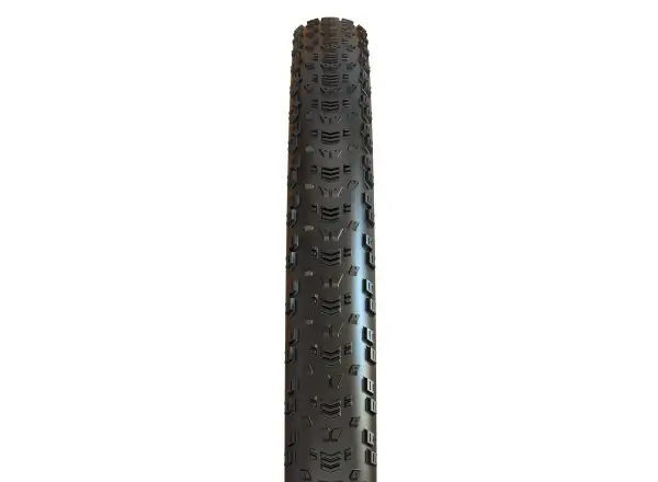 Maxxis Aspen MaxxSpeed EXO TR 29" Reifen mit Kevlar