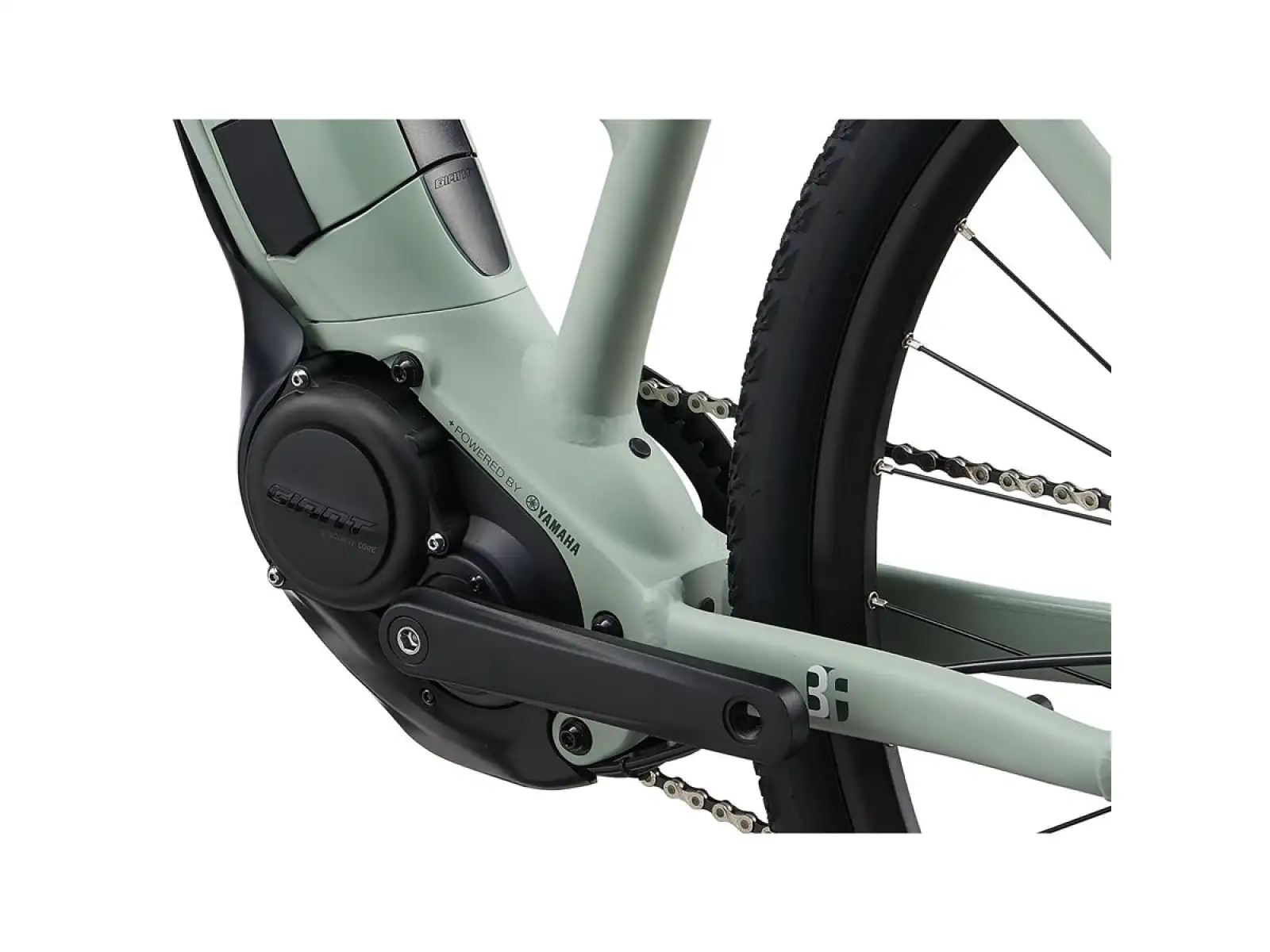 Liv Rove E+ Damen E-Bike Laurel