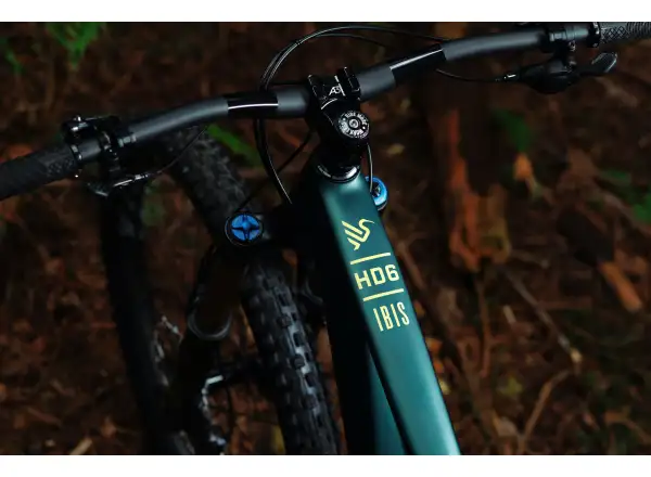 Ibis HD6 Eagle 90 vollgefedertes Mountainbike Green