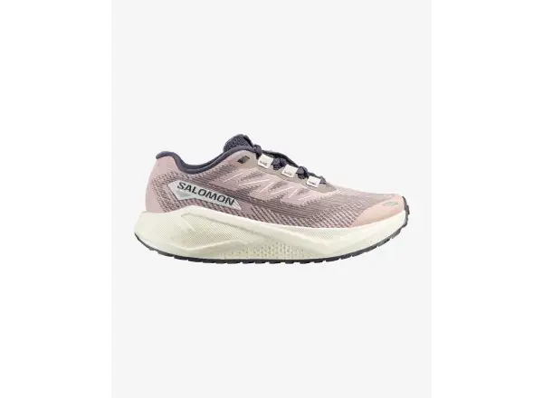 Salomon Aero Blaze 3 GRVL Damen-Laufschuhe Shadow Gray /Vanilla Ice /Nine Iron