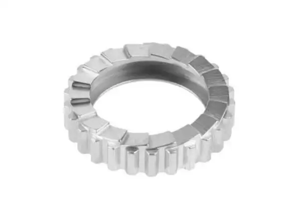 DT Swiss Zähne SL 18z Ratchet