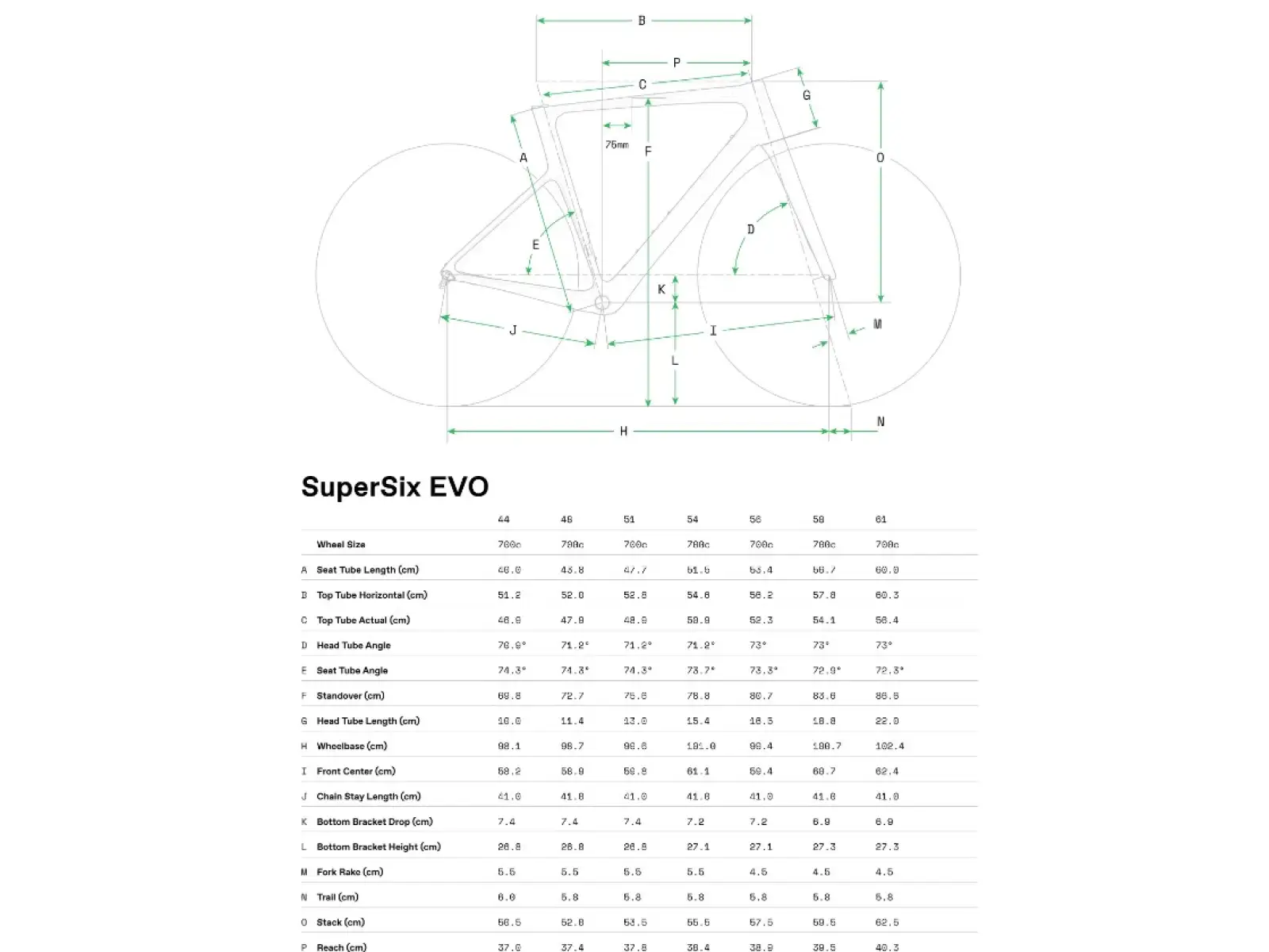 Cannondale SuperSix EVO Carbon 2 Compact Rennrad RAW