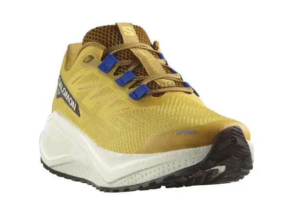 Salomon Aero Blaze 3 GRVL Herrenlaufschuhe Spicy Mustard