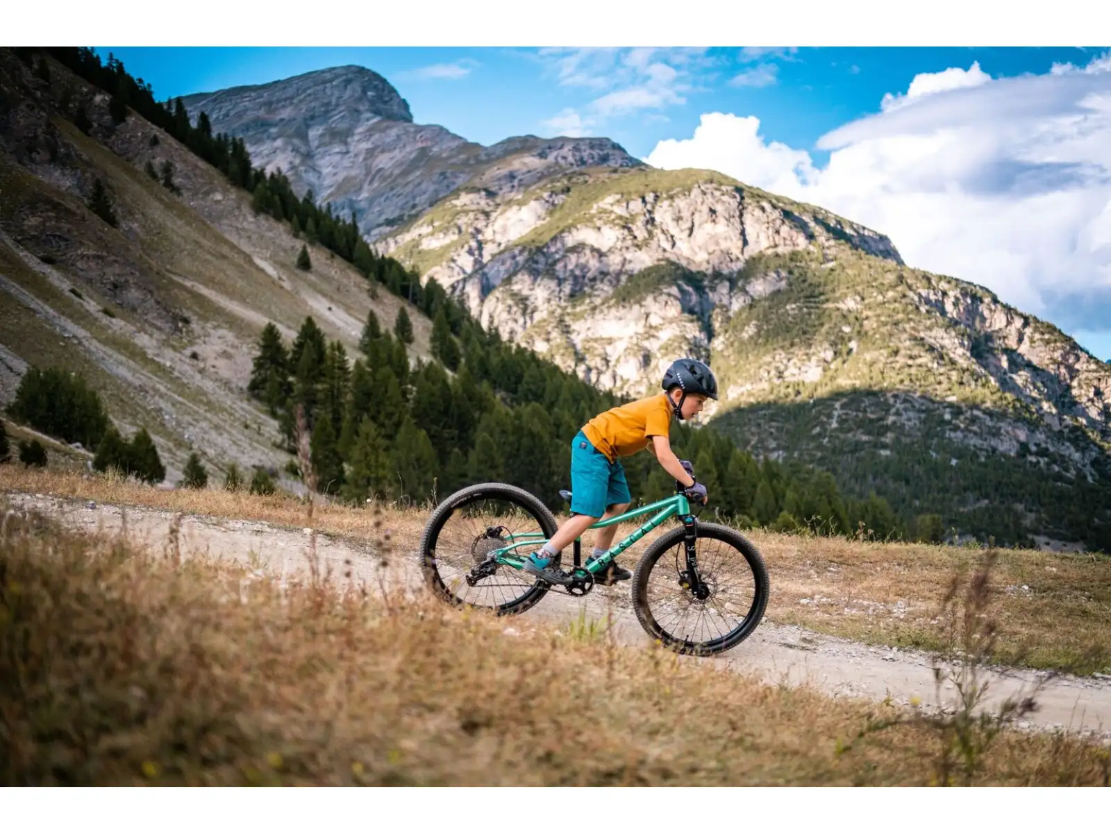 Rascal Wild 24 Kinderfahrrad Smaragd
