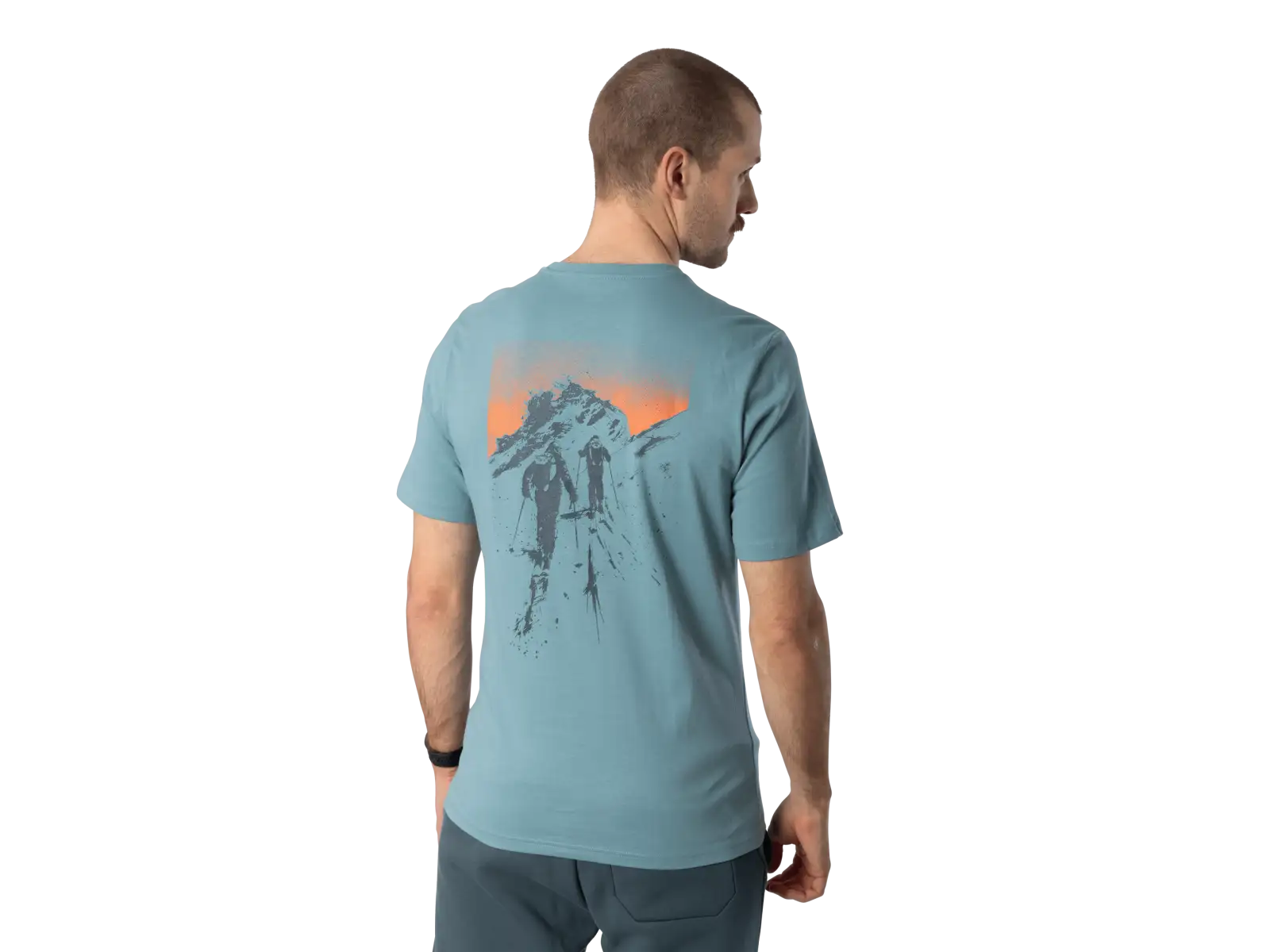Dynafit Back Graphic Cotton Herren T-Shirt Kurzarm Smoke Blue/Approach