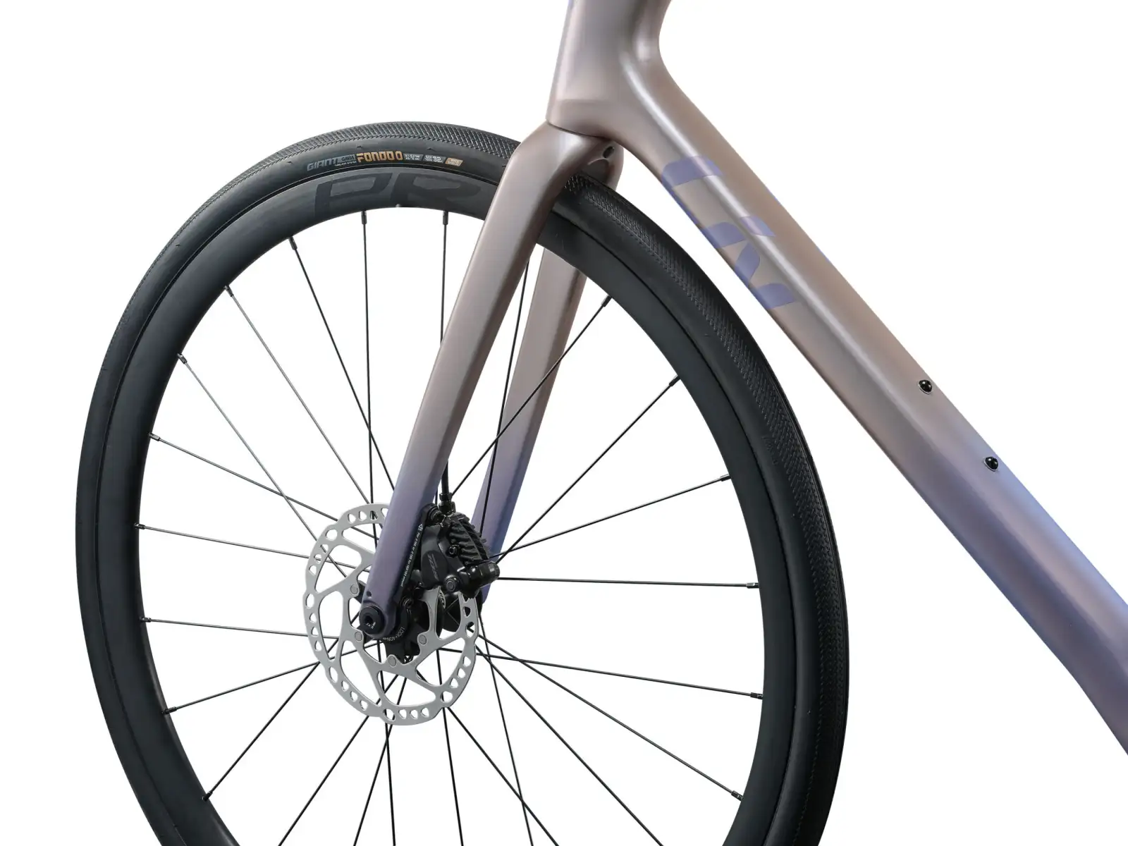Liv Avail Advanced 1 Rennrad Shell White