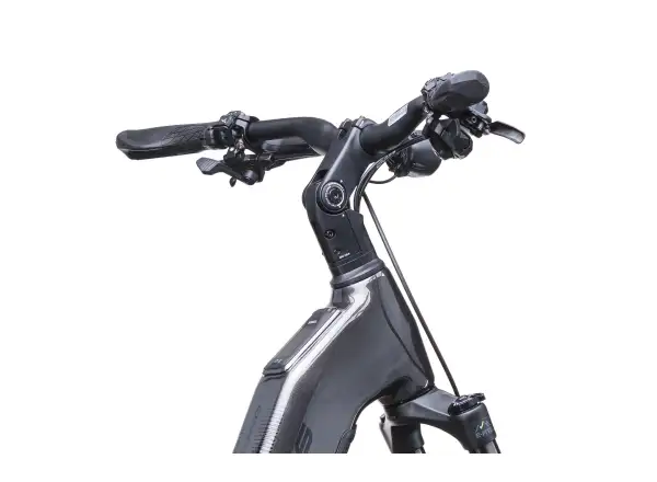 Crussis ONE-Country AX 10.12-M2(600) City-E-Bike
