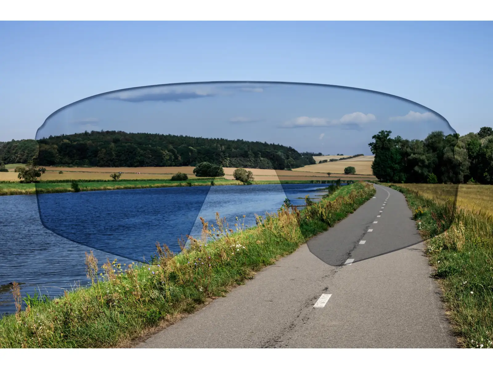 Force Electra Brille weiß/blau Revo-Glas