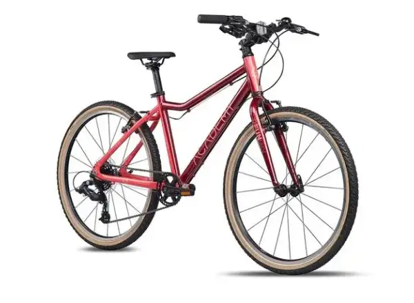 Academy Grade 5 Edition Funtasy Kinderfahrrad Rot