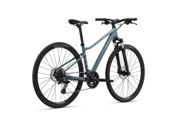 Giant Rove 2 Trekkingrad Storm Cloud