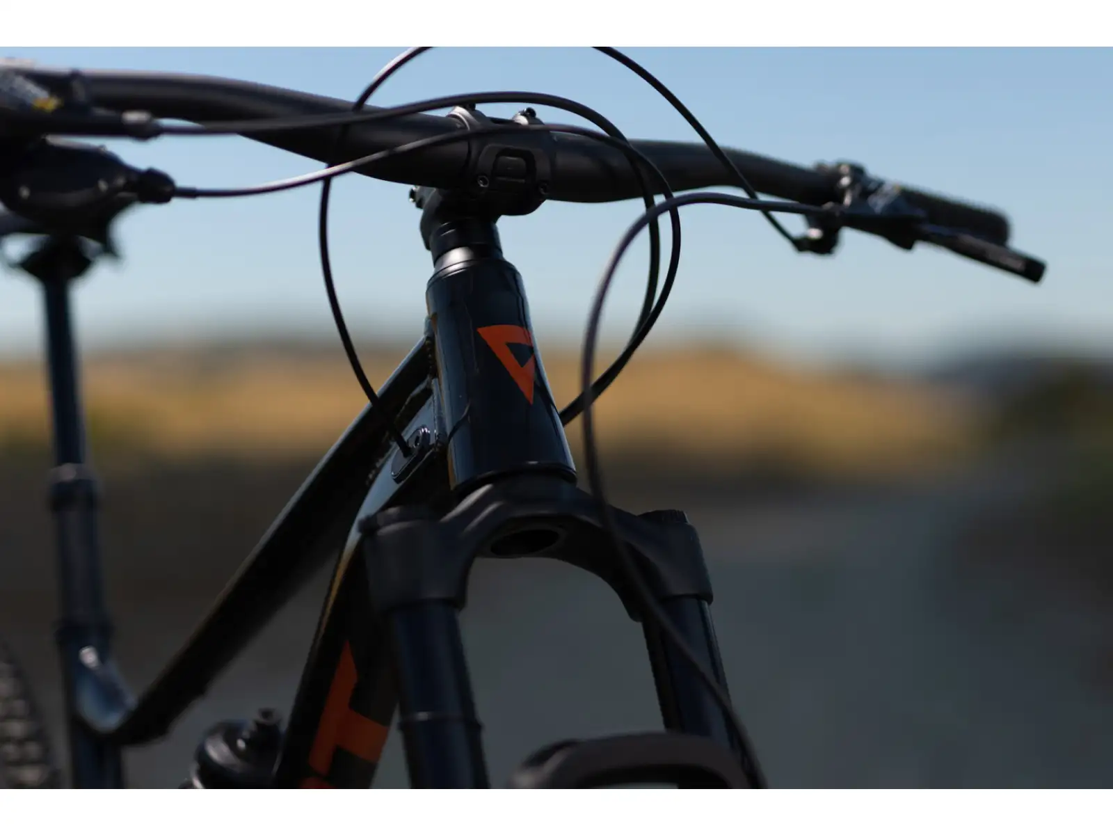 Giant Stance 29 1 vollgefedertes Fahrrad Metallic Black