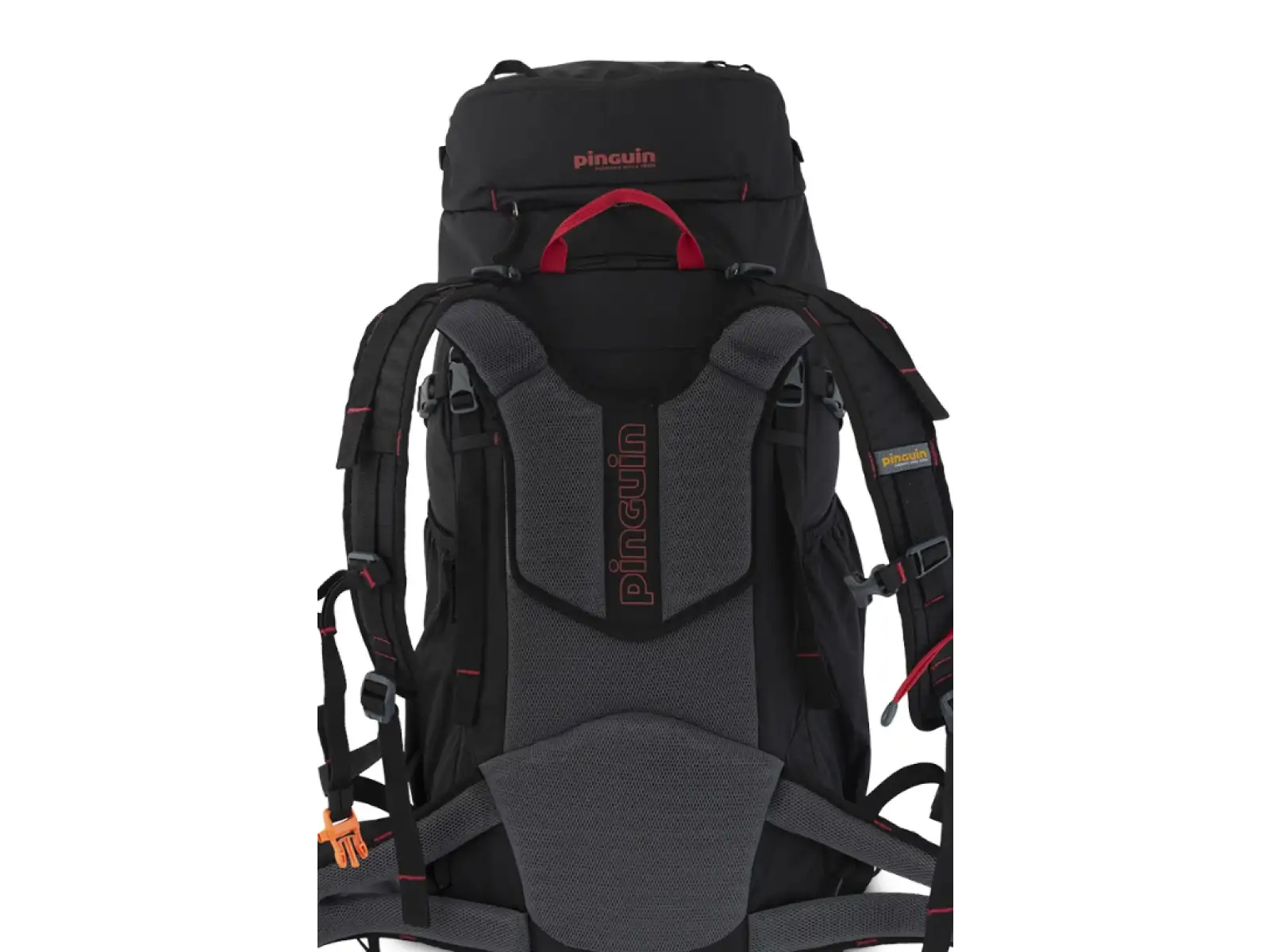 Pinguin Walker 50 Rucksack 50l schwarz