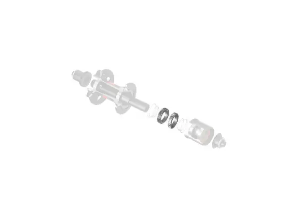 DT Swiss Ratchet-System SL54 Superlight Upgrade-Kit