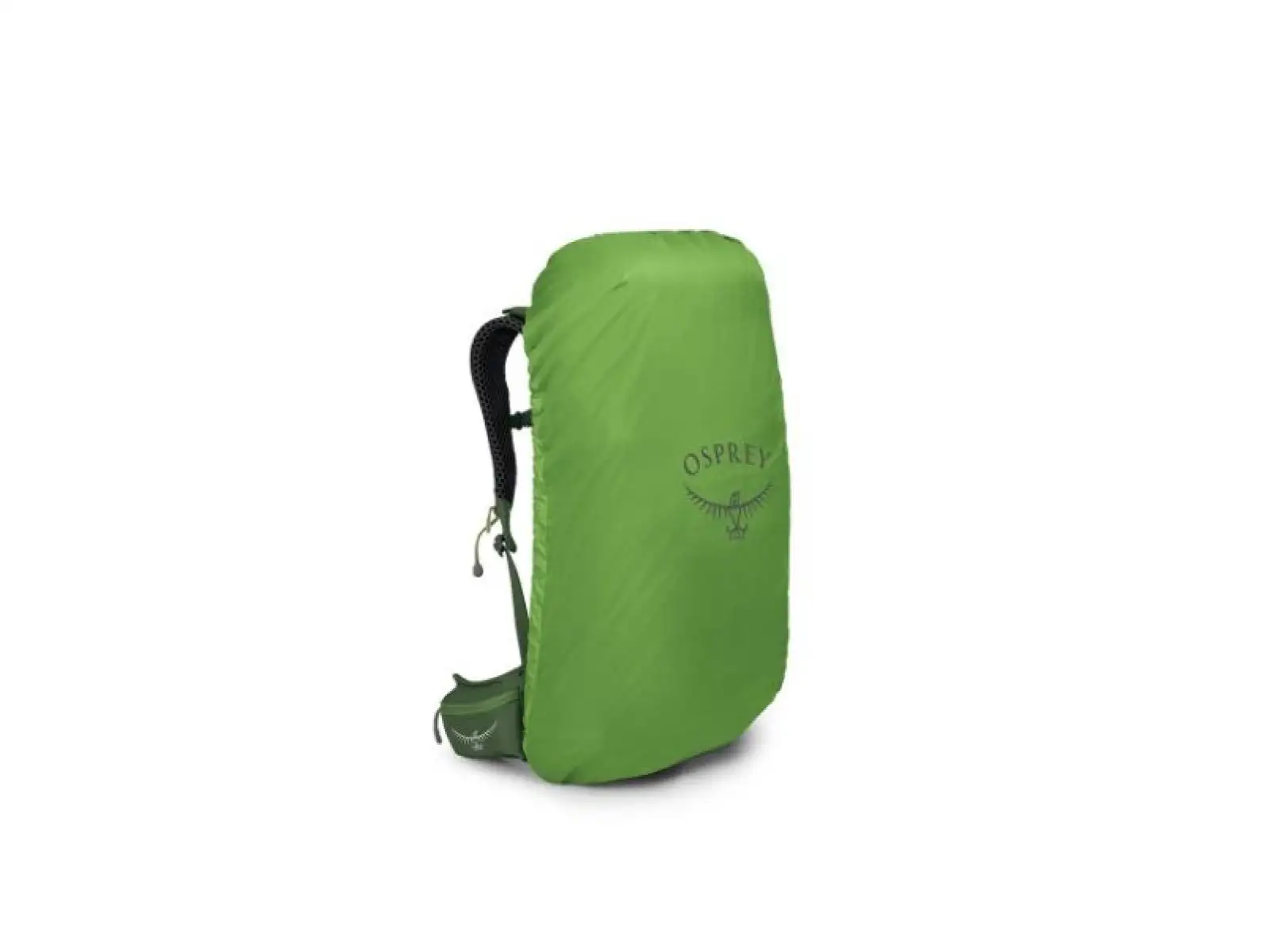 Osprey Stratos 26 l Rucksack Seaweed/Matcha Green