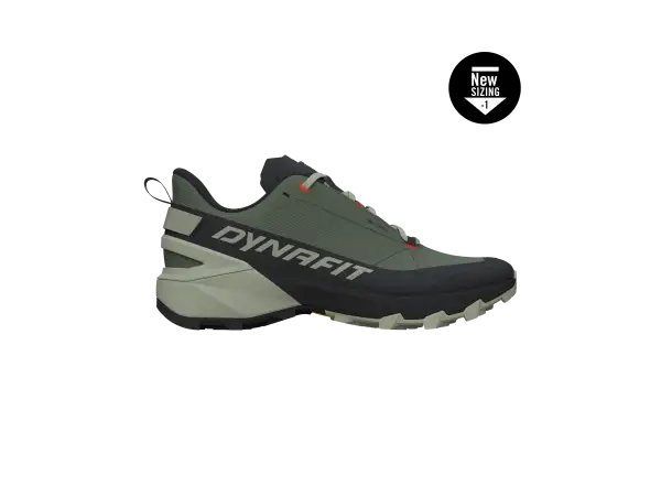 Dynafit Transalper 2 GTX Herren-Laufschuhe Black Out/Thyme