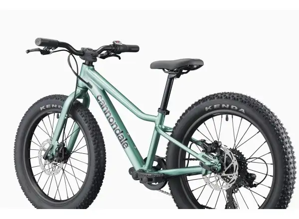 Cannondale Kids Trail Plus 20 Kinderfahrrad Cactus Green