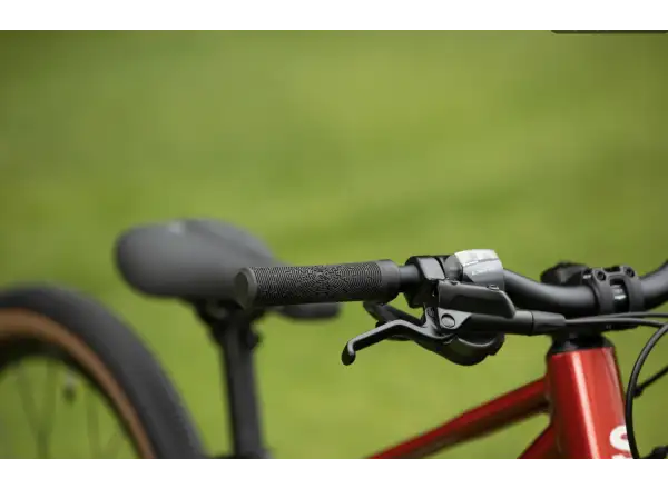 Superior TEAM 20 Kinderfahrrad Gloss Brushed Alu / Red