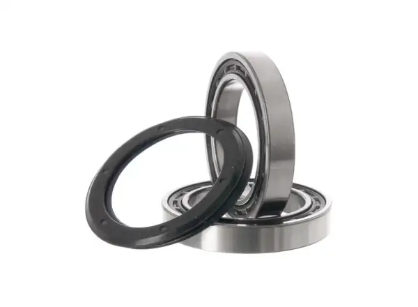 Campagnolo FC-RE112 USB Ceramic Lager für Record Ultra Torque Lagerschalen, 2 St.