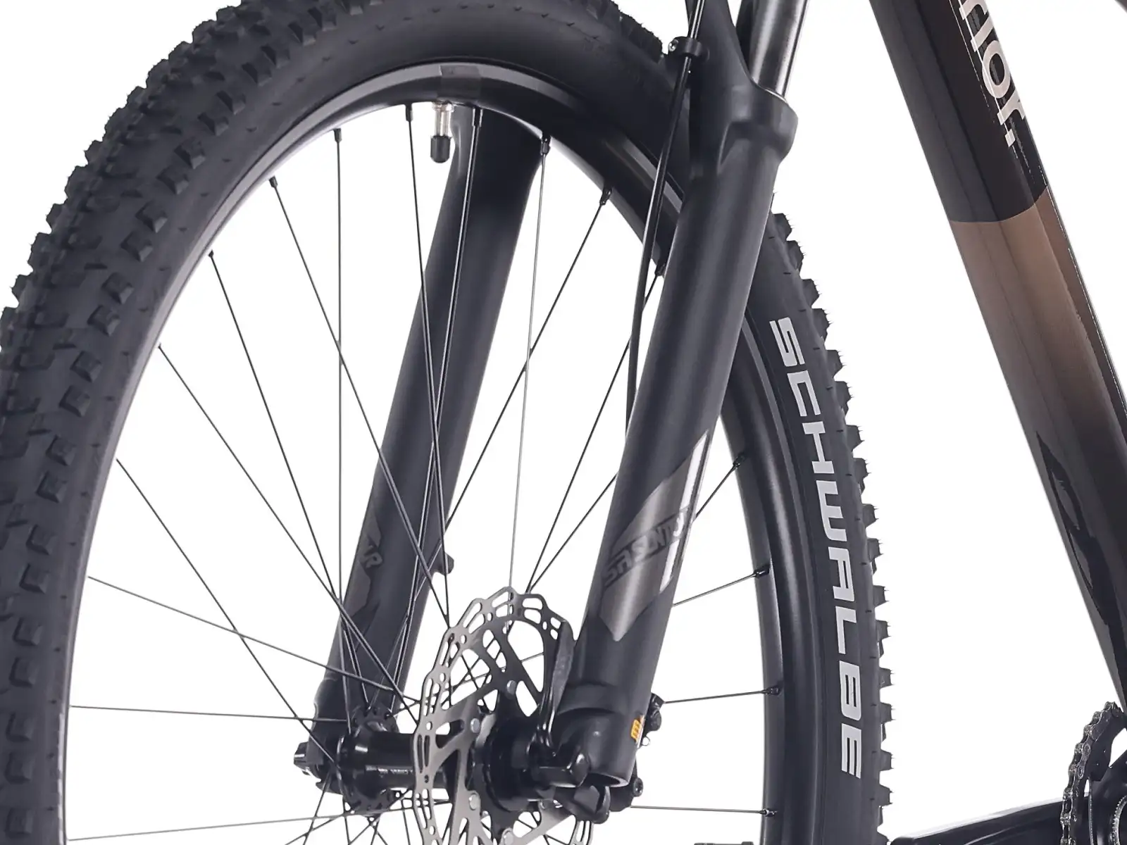 Superior XC 6.2 MS Mountainbike für Damen Gloss Black/Copper