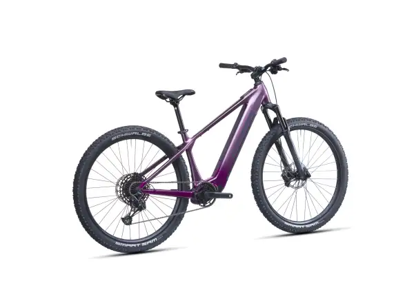 Crussis e-Fionna AX 9.12-M2(800) Mountain E-Bike