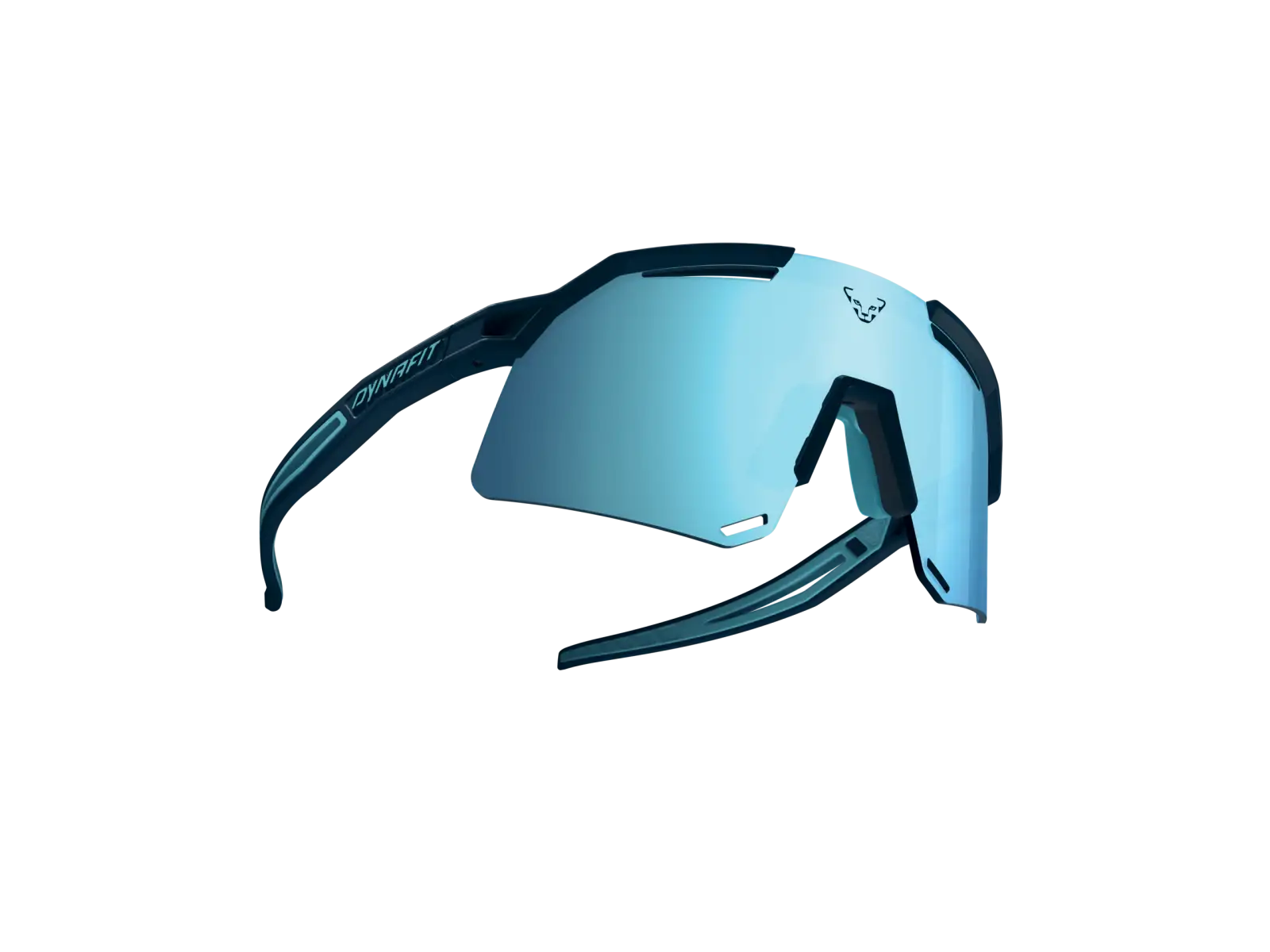 Dynafit Ultra Evo Brille in Blaubeere/Sturmblau