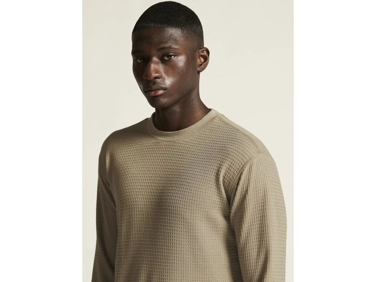 Craft Wool Waffle Herren T-Shirt langarm beige