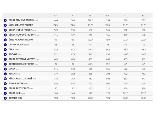 Giant Propel Advanced 1 Rennrad Meteor Storm