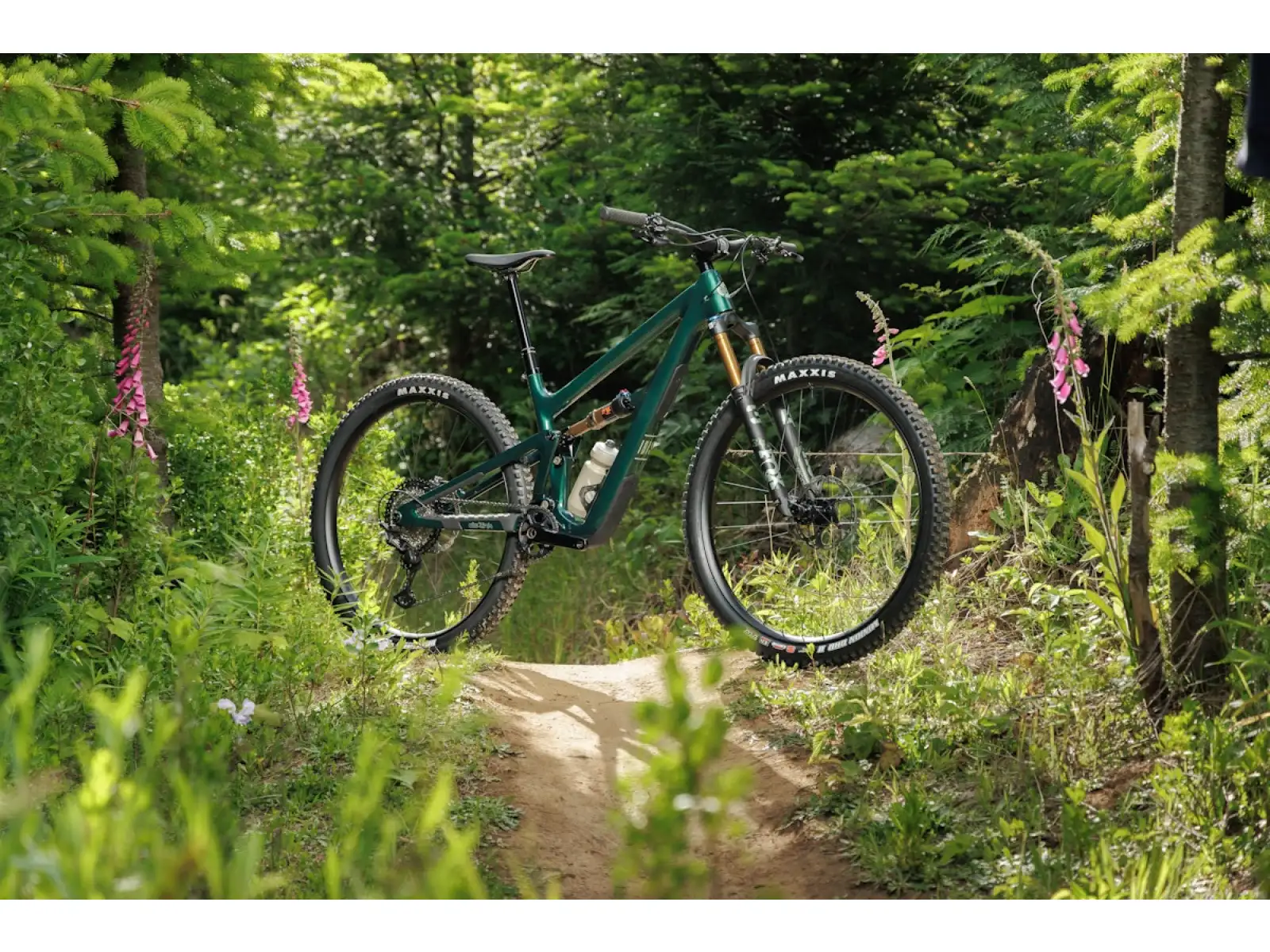 Ibis Ripley V5 XT Di2 Mountainbike Green Flash